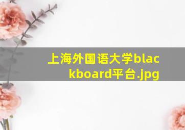 上海外国语大学blackboard平台