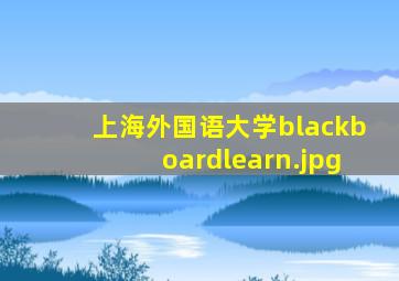 上海外国语大学blackboardlearn