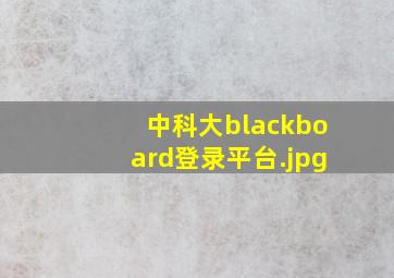 中科大blackboard登录平台