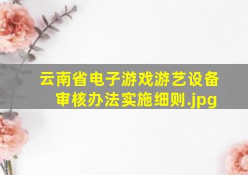 云南省电子游戏游艺设备审核办法实施细则