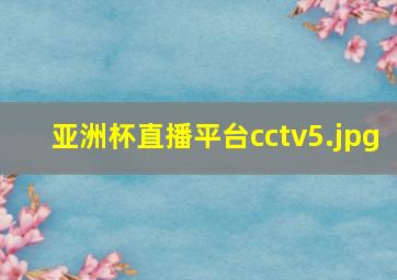 亚洲杯直播平台cctv5