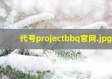 代号projectbbq官网