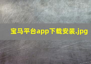 宝马平台app下载安装