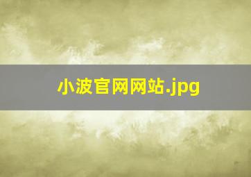 小波官网网站