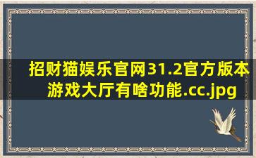 招财猫娱乐官网31.2官方版本游戏大厅有啥功能.cc