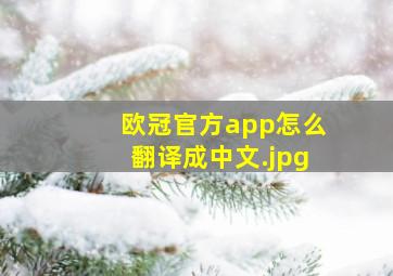 欧冠官方app怎么翻译成中文