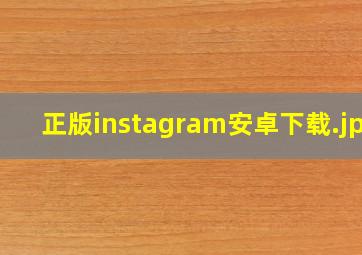 正版instagram安卓下载
