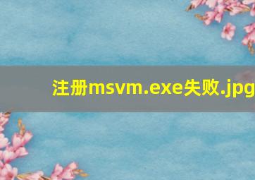 注册msvm.exe失败