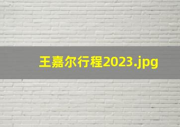 王嘉尔行程2023