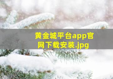 黄金城平台app官网下载安装