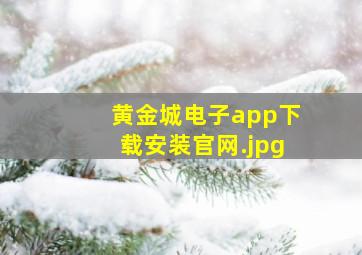 黄金城电子app下载安装官网
