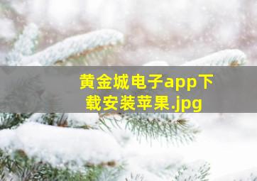 黄金城电子app下载安装苹果
