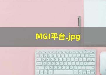MGI平台