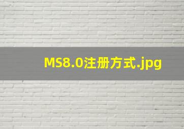 MS8.0注册方式