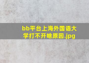 bb平台上海外国语大学打不开啥原因