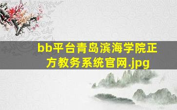 bb平台青岛滨海学院正方教务系统官网