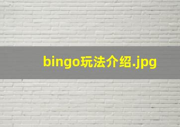 bingo玩法介绍