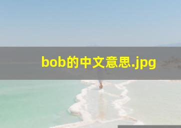 bob的中文意思