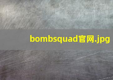 bombsquad官网