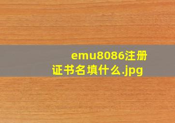 emu8086注册证书名填什么