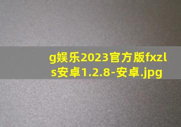 g娱乐2023官方版fxzls安卓1.2.8-安卓