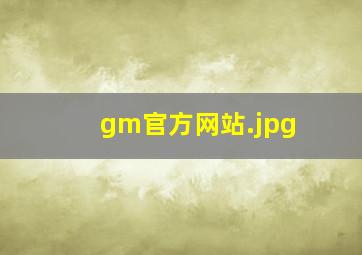 gm官方网站