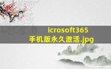 icrosoft365手机版永久激活