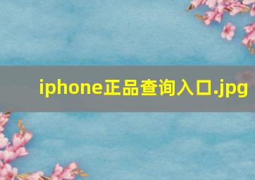iphone正品查询入口