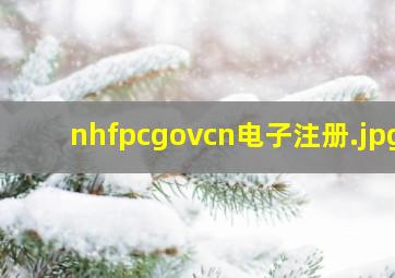 nhfpcgovcn电子注册