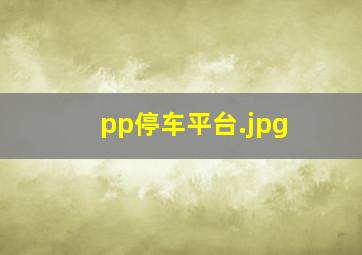 pp停车平台