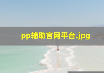 pp辅助官网平台